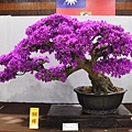 2020台灣花菓展_073.jpg