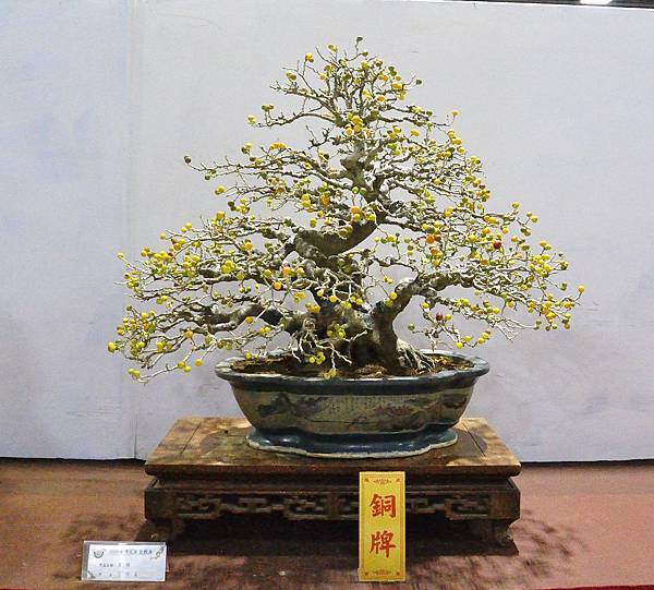 2020台灣花菓展_077.jpg