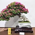 2020台灣花菓展_083.jpg