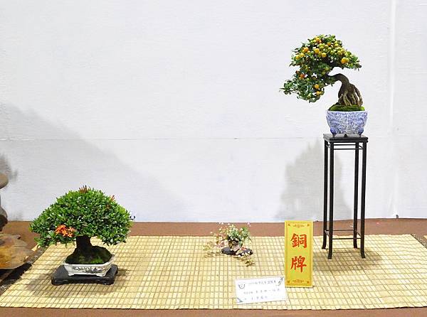 2020台灣花菓展_087.jpg