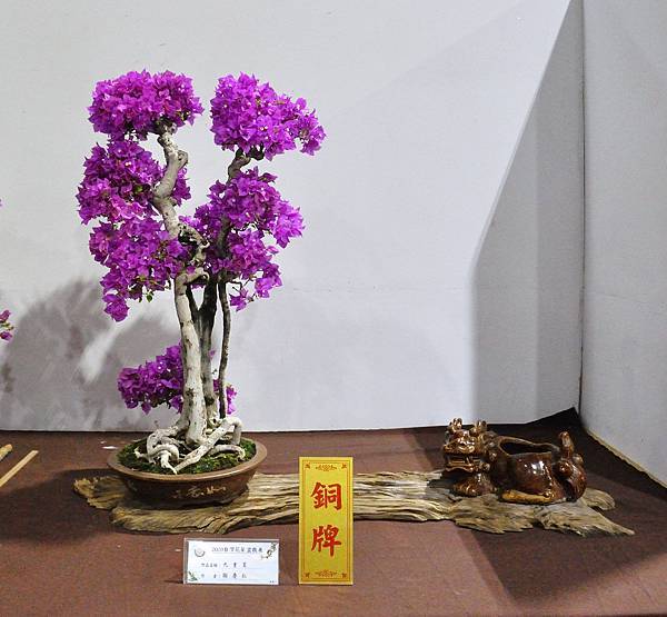 2020台灣花菓展_090.jpg