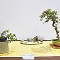 2020台灣花菓展_126.jpg