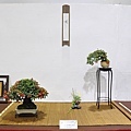 2020台灣花菓展_138.jpg