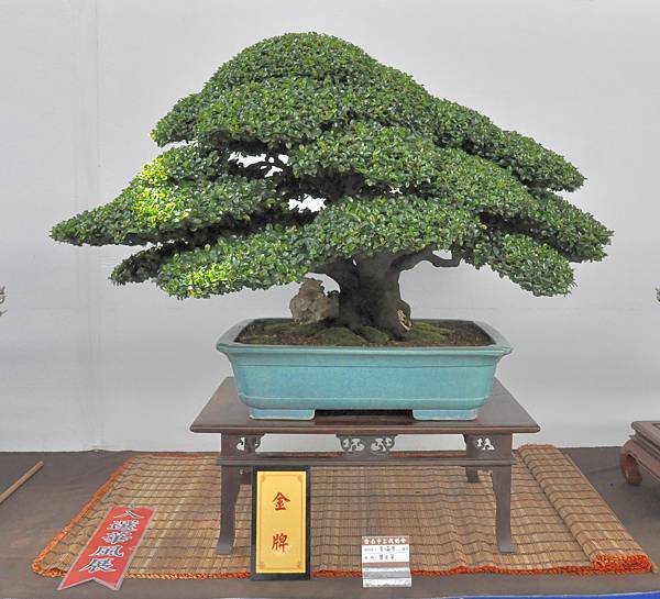 2022台南盆栽展_043.JPG
