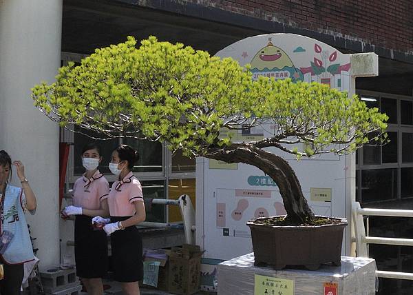 2022南投盆栽展_00131.jpg