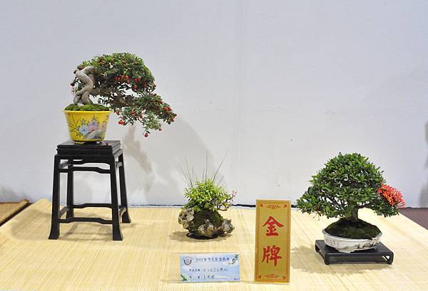 2022台灣花菓展_00037.jpg
