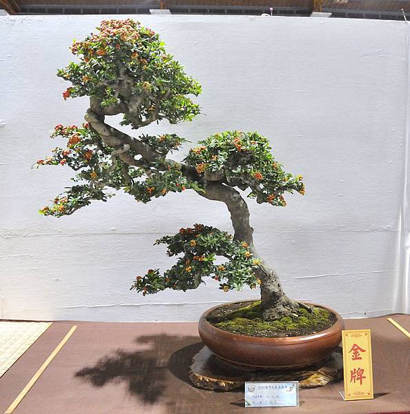 2022台灣花菓展_00041.jpg