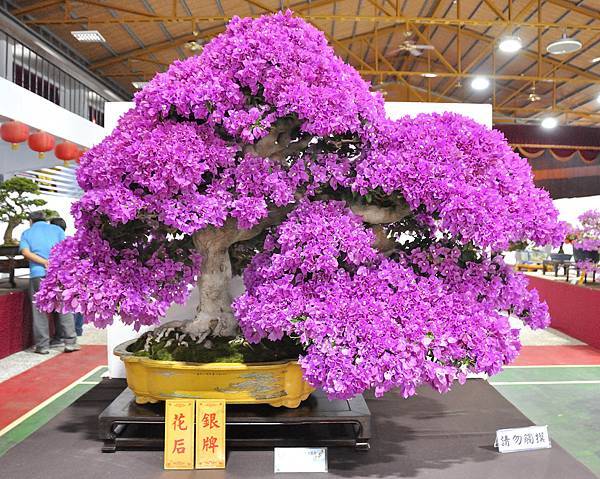 2022台灣花菓展_00060.jpg