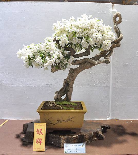 2022台灣花菓展_00063.jpg