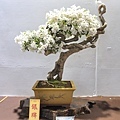 2022台灣花菓展_00063.jpg