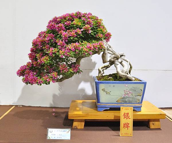 2022台灣花菓展_00066.jpg