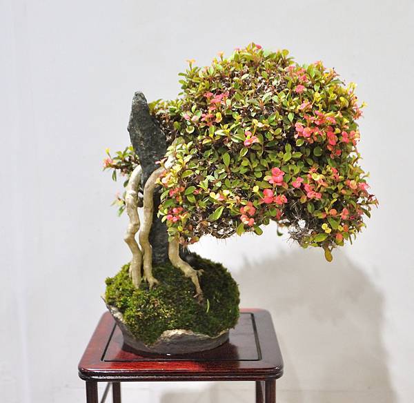 2022台灣花菓展_00068.jpg