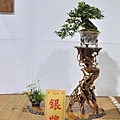 2022台灣花菓展_00073.jpg