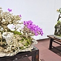 2022台灣花菓展_00083.jpg