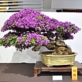 2022台灣花菓展_00100.jpg