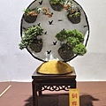 2022台灣花菓展_00101.jpg