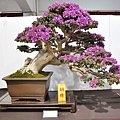 2022台灣花菓展_00110.jpg