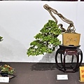 2022台灣花菓展_00116.jpg