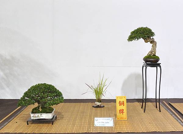 2022台灣花菓展_00119.jpg