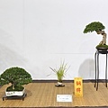 2022台灣花菓展_00119.jpg