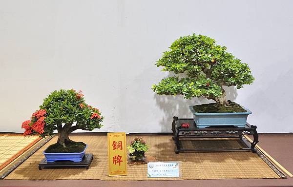 2022台灣花菓展_00130.jpg
