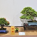 2022台灣花菓展_00130.jpg