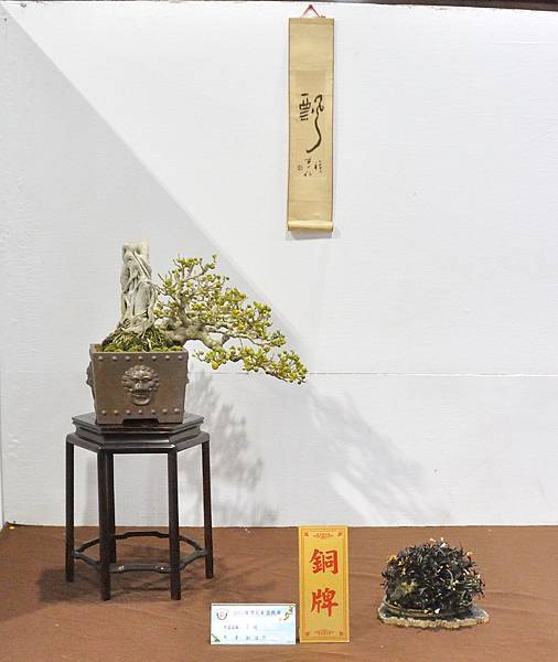 2022台灣花菓展_00141.jpg