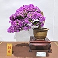 2022台灣花菓展_00146.jpg