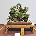 2022台灣花菓展_00149.jpg