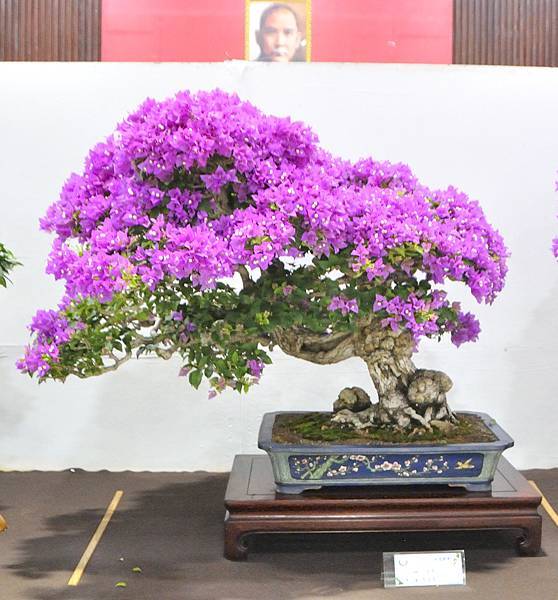 2022台灣花菓展_00173.jpg