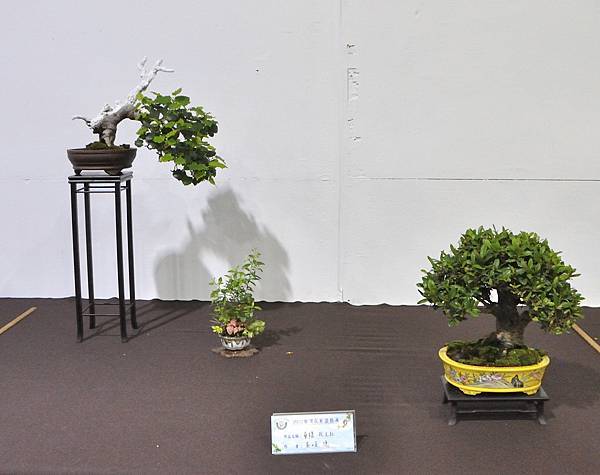 2022台灣花菓展_00179.jpg