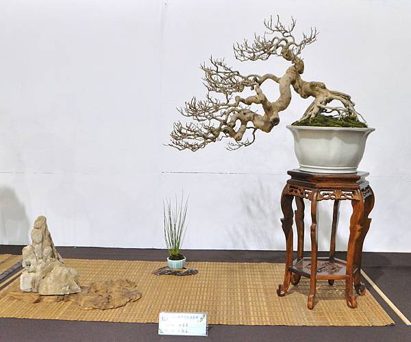 2022台灣花菓展_00190.jpg