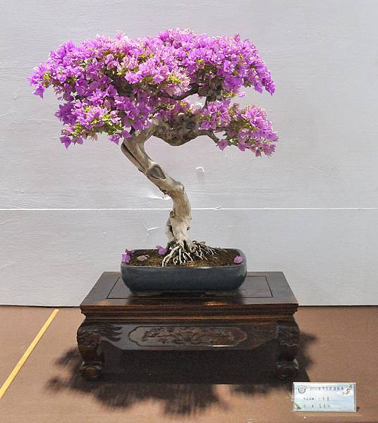 2022台灣花菓展_00195.jpg