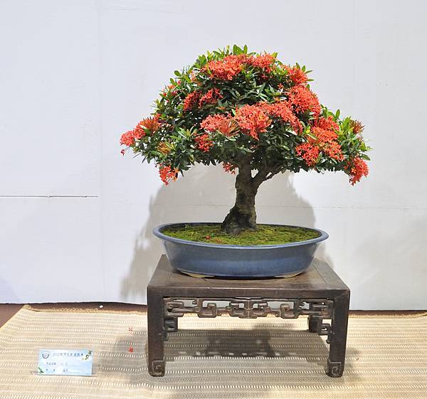 2022台灣花菓展_00220.jpg