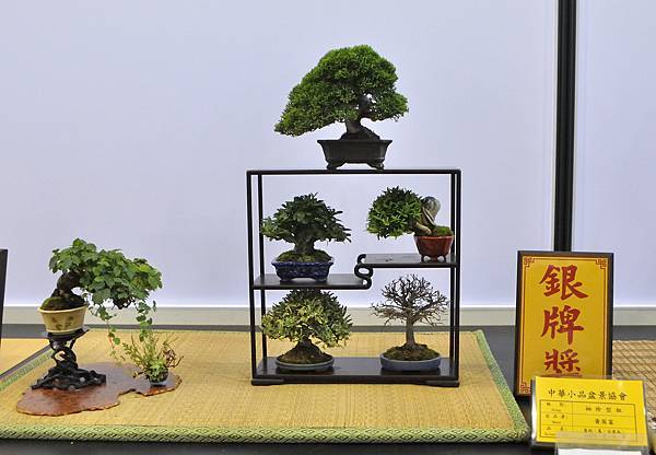 2023雅風展_00141.jpg