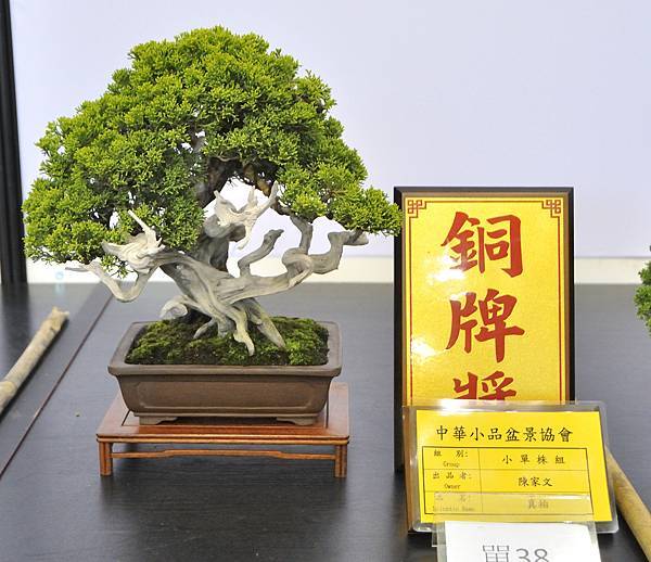 2023雅風展_00200.jpg
