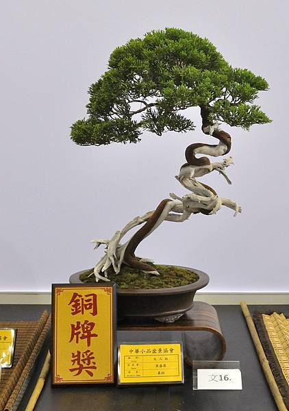 2023雅風展_00204.jpg