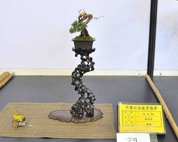 2023雅風展_00234.jpg
