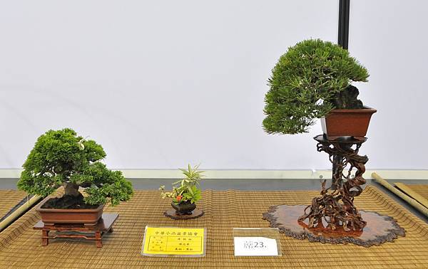 2023雅風展_00283.jpg