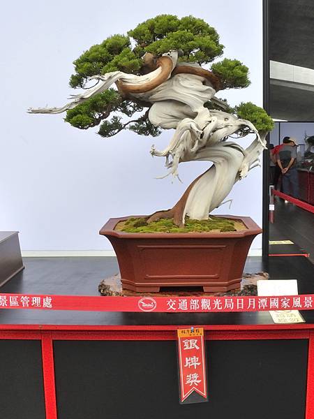 2023明潭松韻樹石大展_00077.jpg