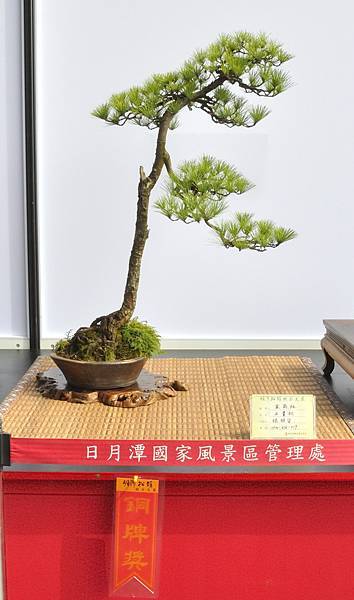 2023明潭松韻樹石大展_00106.jpg