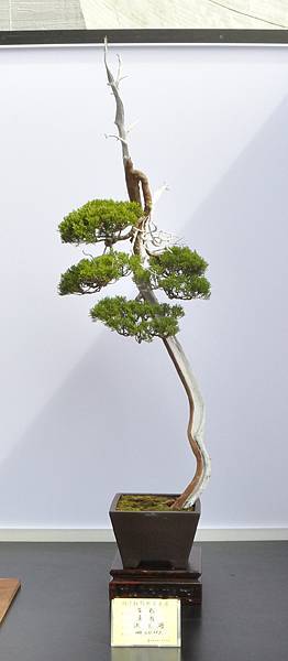 2023明潭松韻樹石大展_00117.jpg