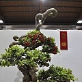 2023台灣花菓盆栽展_00030.jpg