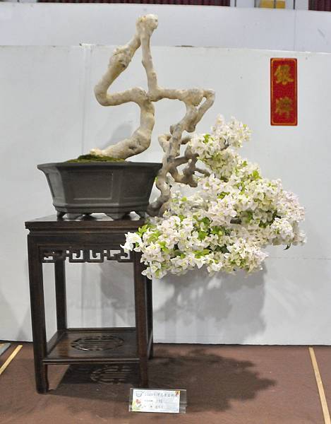 2023台灣花菓盆栽展_00059.jpg