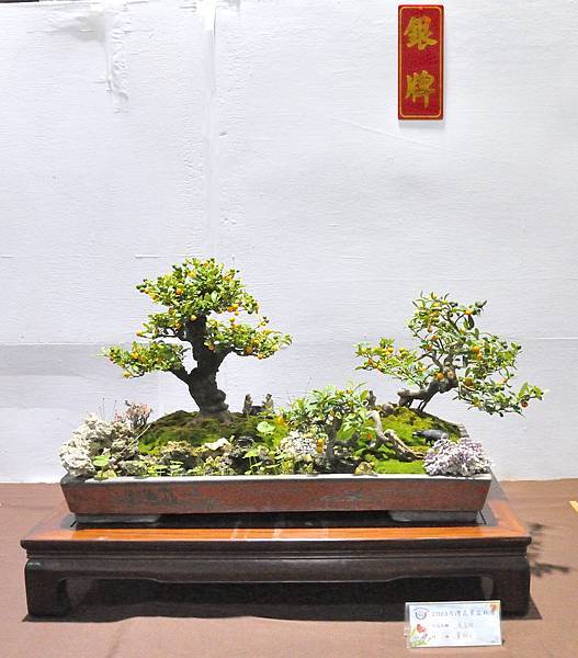 2023台灣花菓盆栽展_00067.jpg