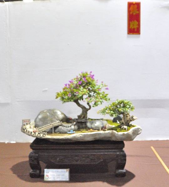 2023台灣花菓盆栽展_00069.jpg