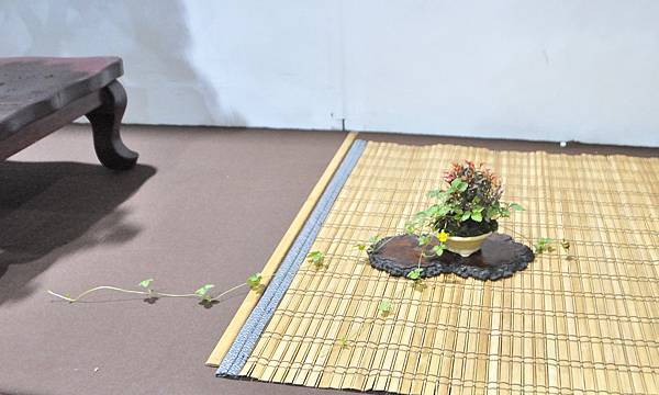 2023台灣花菓盆栽展_00091.jpg