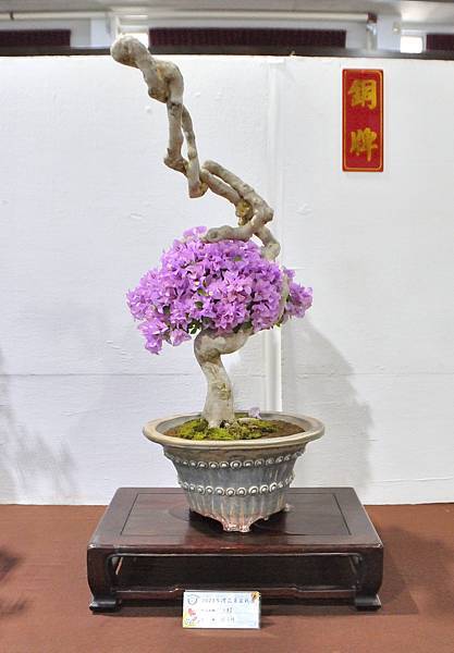 2023台灣花菓盆栽展_00103.jpg