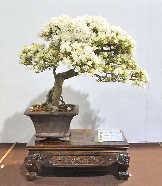 2023台灣花菓盆栽展_00157.jpg