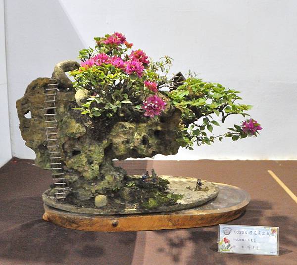 2023台灣花菓盆栽展_00189.jpg